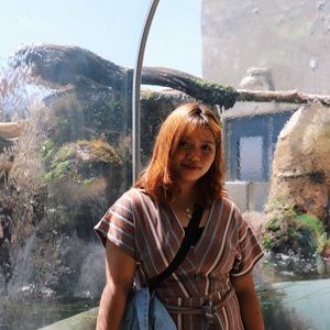 Meet your Posher, Ariel